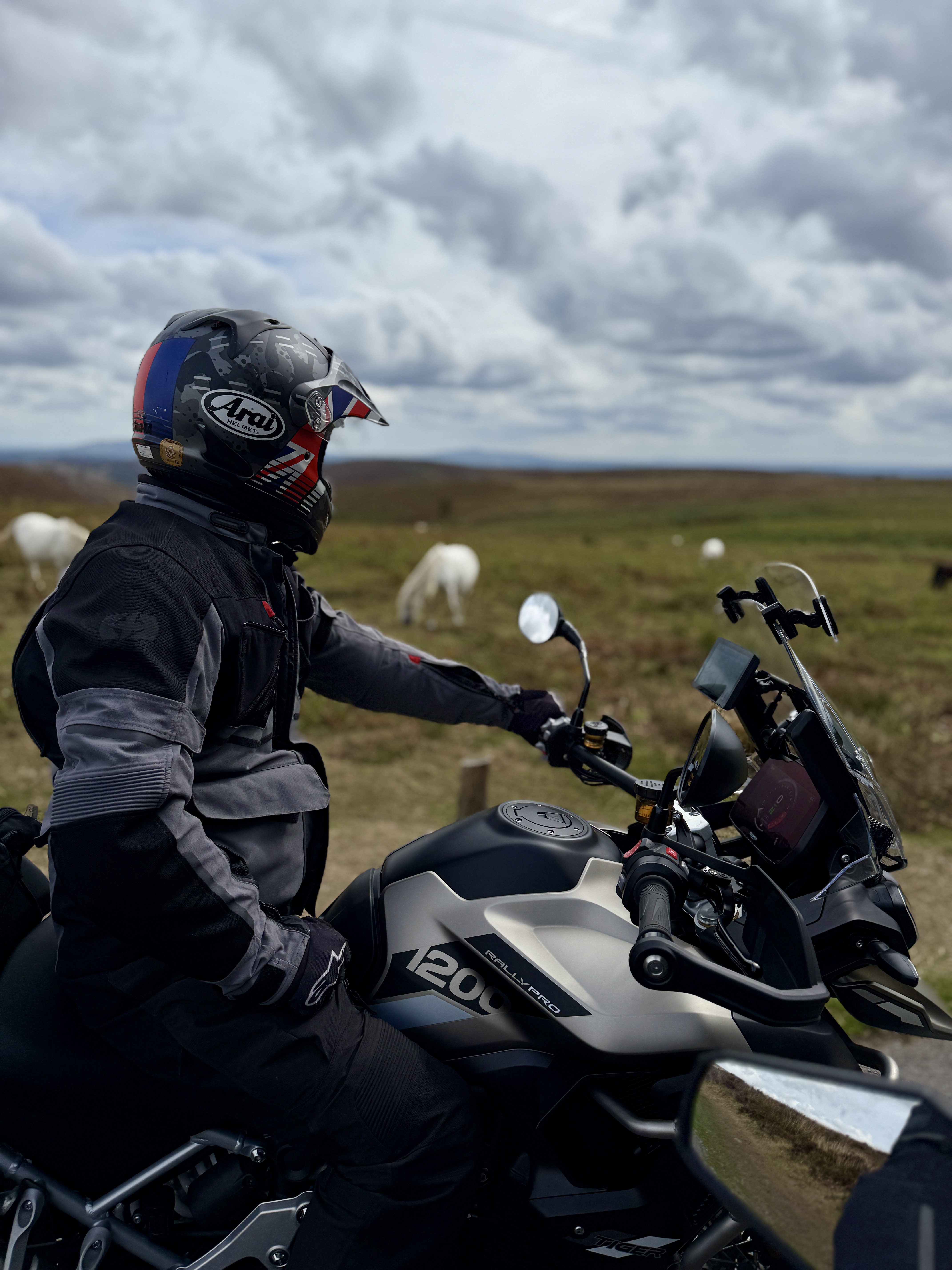 Adventure vs Sports Tourer: Which Is Best for Your Ride?