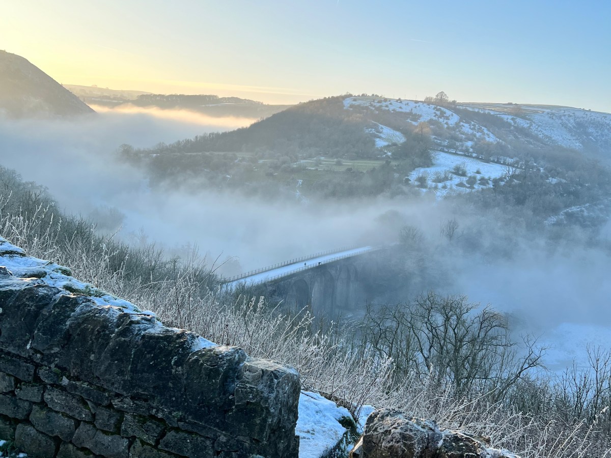 10 Essential Tips for Spring Motorcycle&nbsp;Preparation